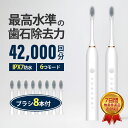 電動歯ブラシ 替えブラシ 替えブラシ8本付き 音波歯ブラシ 充電式 本体 超音波 歯ブラシ IPX7 防水設計 歯磨き 静音 強力 おしゃれ 携帯 子供 大人