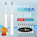【メーカー希望小売価格5880円→1680円】 電動歯ブラシ 替えブラシ 替えブラシ8本付き 音波歯ブラシ 充電式 本体 超音波 歯ブラシ IPX7 防水設計 歯磨き 静音 強力 おしゃれ 携帯 子供 大人