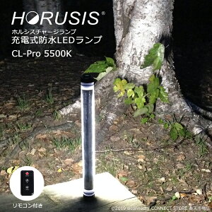 HORUSIS CL-Pro 5500K 700LM Type [d h LED Ɠ  zVX `[Wv CHARGE LAMP F 邳ő700LM 邳3iK hoh\IP68 Rt Cg [NCg LEDCg 
