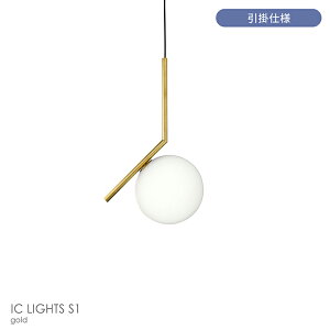 yK̔XzyzFLOSitXj Ɩ / IC LIGHTS S1iACV[CcS1j / y_gCg