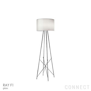 yK̔XzyzFLOSitXj Ɩ / RAY F1 iCF1j / KX / tAv