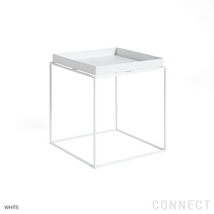 HAYiwCj / TRAY TABLEigCe[uj / zCg / MTCY / TChe[u