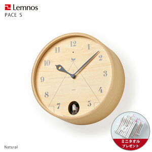 y~j^Itzv |v / LemnosimXj /PACE(p[`FjS / Ǌ|v JbR[v