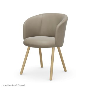 VitraiBgj / Mikadoi~Jhj / A[`FA / Leather Premium FiU[v~AFjsand / I[N