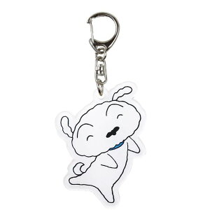 ACvjO N񂿂 ANl[^OS V W50×H65×D4mm K9780C