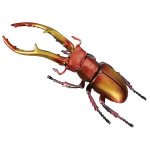 pYDEtBMA CZNg 1 pY mߋ