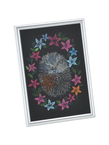 ANA[gKX ^bNt[Zbg  p  p  