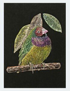 XNb`{[hEX XN[p[ p  p  