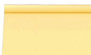 ジャンボロール画用紙 クリーム 10m 素材 図工 工作 クラフト ホビー