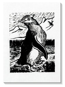 ŉa 45kg V 4 100 p  p  