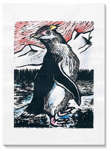 ŉʐFa 40kgʉŗp  100 p  p  