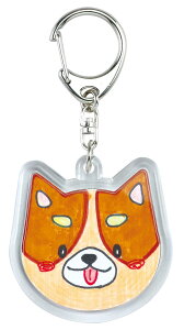 np`L[z_[ ^ G }H H Ntg zr[