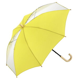 rR[Y ybg LbY lC`[J[ CG[ F P 50cm j̎q ̎q qp P rj[P JP   S y v J^Cv TXeBiu