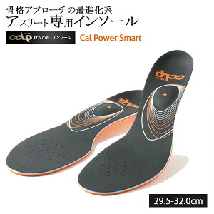 BMZ Jp[ X}[gX|[c C\[ ubN 29.5-32.0cm C ~ C\[ A[`T|[g Ռz ^ 萫 vdl X|[c