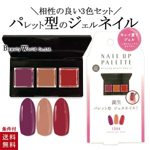 ジェルネイル パレットの人気商品 通販 価格比較 価格 Com