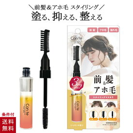 楽天市場 スタイリング フィクサーの通販
