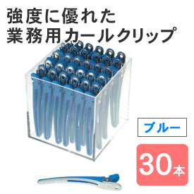 カールクリップ LL ブルー 青 30個セット ヘアクリップ 大きめ ダッカール アルミ合金 金属 髪留め クリップ