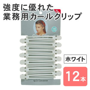 J[Nbv LL zCg  12Zbg wANbv 傫 _bJ[ A~   Nbv