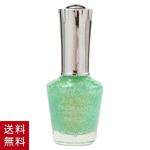 �؍��R�X�� �v�������X �}�j�L���A �������X�p�[�N�� #720 �l�C���J���[