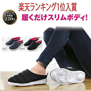 vhD _CGbgXbp fB[X ̊؃VFCvT{ _CGbgT_ L(24.0?24.5cm) O[