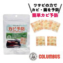 コロンブス ワサエース PS180 180日間用 5包入り 防カビ剤 抗菌 靴 革 レザー 木製品 ガラス製品