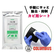 コロンブス レザーキュア カビ用 クリーニングシート 10枚入り カビ取り 革製品 カビ取り クリーナー カ…