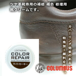 RuX J[yA CgJ[L v C̏ LY C Fp CN[ Cn u[c vC