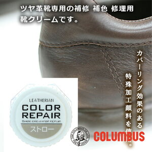 RuX J[yA Xg[ F zCgn v C̏ LY C Fp CN[ Cn u[c vC