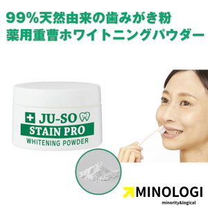 }CmW p d XeC zCgjO pE_[ 20g 򕔊Oi  zCgjOpE_[ 