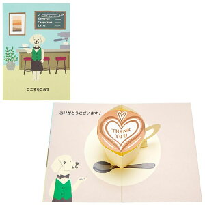 TL TY216[EDTL|J|h 608602 O[eBOJ[h ܂ |bvAbvJ[h  JtFe TI TL[J[h  ObY