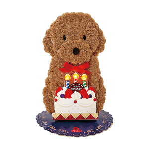 TI fCJPME45[5R PMIS?J?hJPME 184161 Cg&fB o[Xf[J[h IS[ t