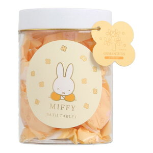 fBbNEu[i oX^ubg ~btB[ MF24481 Dick Bruna ؍҂̂ oXMtg  oXtBY C  킢 oXObY Mtg oX{ v[g LNZC