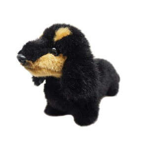 Opf OCXt Ck { _bNXthS ubN&^  ʂ S26cm I-6860