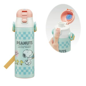 XP[^[ Skater qp XeX   580ml Xk[s[ 80sJtF qɗDyʃ^Cv ̎q ۗp waterbottle X|[c{g 킢 LbY q ǂ r SDC6N-A
