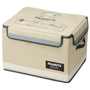 XP[^[ Skater uz {bNX M 55L 48 38 34cm  ˔ bNC[ ו zB z Xk[s[ obW ZOKB1