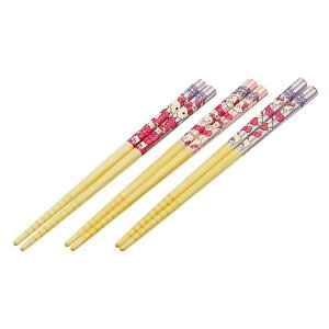 XP[^[ Skater |  16 5cm 3Vg n[LeB TI ANT2T-A