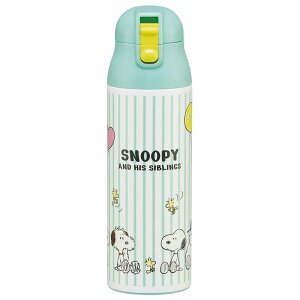 XP[^[ Skater }O{g 500ml ۉ ۗ XeX  Xk[s[ o[ SDPC5-A