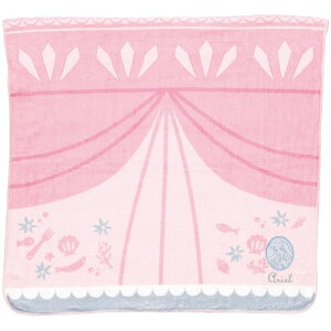 XP[^[ Skater z  oX^I c60 120cm fBYj[ vZX AG TODR1