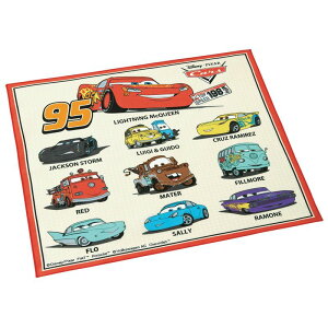 XP[^[ Skater qp ٓ `NX 43 43cm LbY { fBYj[ J[Y25 KB4-A