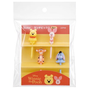 XP[^[ Skater ` sbNX  4{ fR[V fBYj[ ܂̃v[ LKP5D-A