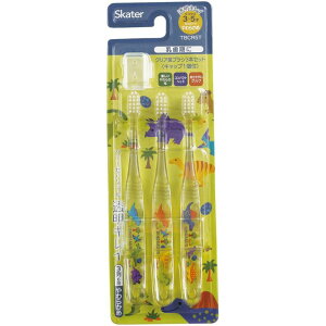 XP[^[ Skater uV p 3-5 炩 NA 3{ fBmTEX sN`[ubN TBCR5T-A