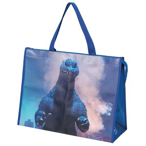 XP[^[ Skater W[obO W[V[g g[gobO L ΂ AEghA sy ł `obO ۗobO SW 2004 KVB3-A