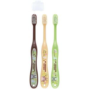 XP[^[ Skater uV wp 6-12 炩 ƂȂ̃gg vc X^WIWu 15 5cm TB6S-A
