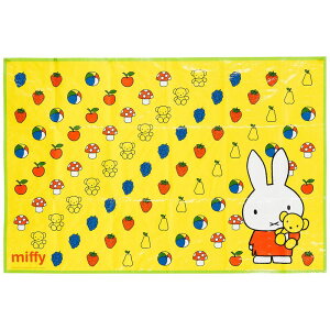 XP[^[ Skater qp W[V[g  STCY 60 90cm ~btB[ VS1 |GXe