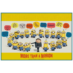 XP[^[ Skater qp W[V[g  STCY 60 90cm TCY ~jIY tB[o[ VS1-A