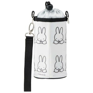 XP[^[ Skater Gi ybg{gP[X 500mlp ~btB[ 21 PVPC6-A