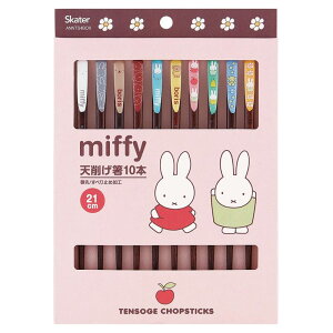 XP[^[ Skater V킰  21cm  Mtg 蕨 yY 5V 10{Zbg ~btB[ ANNTS4BOX-A