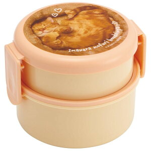 XP[^[ Skater ٓ 500ml 2i ی^ ɂP[X R { YƂȂ ONWR1AG-A