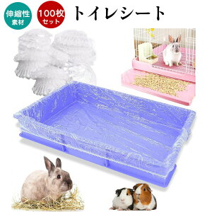 y 100Zbgz  gC  gCV[g P[Wp gCp ybg̃gCtB P[WnX^[P[WgCV[g P[W |p Jo[ V[g ĝ  Rh