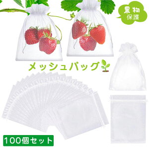 y100zʕیlbg ʕ ʎی bVobO ʎ ɍ Q JX/悯 ݂ C`WN t[c ʎ h hlbgʋC/ʉ/R 